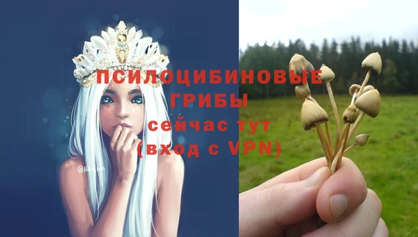 МДМА Армянск